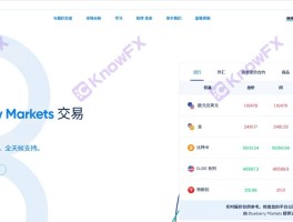 ब्लूबेरी मार्केट BBMARKETS फ्रॉड कंपनी AUTCAP के समान जड़ों के साथ फंड में फंस गया है?निवेशकों के धन जरूरी हैं!