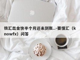 铁汇出金快半个月还未到账..-要懂汇（knowfx）问答