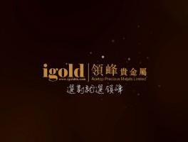 igold領峰貴金屬牌照混用！監管無力！還用涉案款出金？