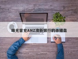 曝光冒充ANZ澳新银行的杀猪盘