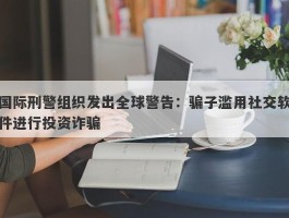 国际刑警组织发出全球警告：骗子滥用社交软件进行投资诈骗