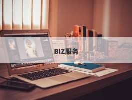 BIZ服务