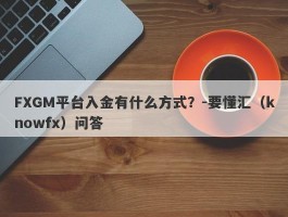 FXGM平台入金有什么方式？-要懂汇（knowfx）问答