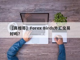 【真相哥】Forex Birds外汇交易好吗？
