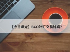 【今日曝光】BCO外汇交易好吗？
