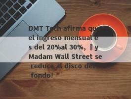 DMT Tech afirma que el ingreso mensual es del 20%al 30%, ¡y Madam Wall Street se reduce al disco del fondo!