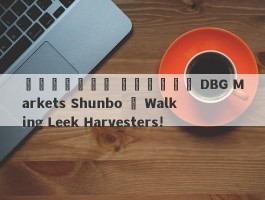 الأسواق الأسود DBG Markets Shunbo ، Walking Leek Harvesters!