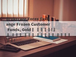 Brokerage Forex Exchange Frozen Customer Funds, Gold가 없습니다!메인 화이트 라벨을 혼동하려고 시도하십시오!