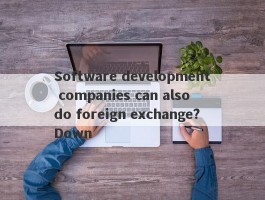 Software development companies can also do foreign exchange?Down