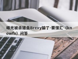 曝光被杀猪盘Brexy骗了-要懂汇（knowfx）问答