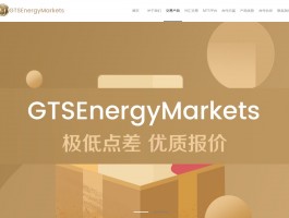 GTSEnergyMarkets國人搞的外匯資金盤，公司控制人頻頻更換！！