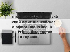 Шок!Внезапный!Шанхайский офис Шанхайского офиса Doo Prime, Doo Prime, был доставлен в горшок!