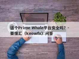 这个Prime Whale平台安全吗？-要懂汇（knowfx）问答