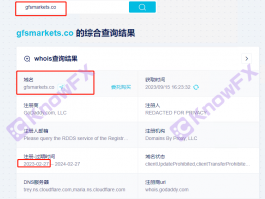 【震驚】GFS外匯實際發生交易的公司無監管，公司董事是台灣人！！