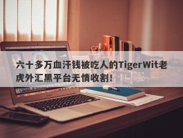 六十多万血汗钱被吃人的TigerWit老虎外汇黑平台无情收割！