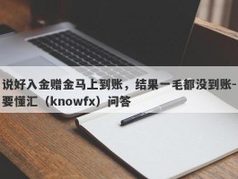 说好入金赠金马上到账，结果一毛都没到账-要懂汇（knowfx）问答