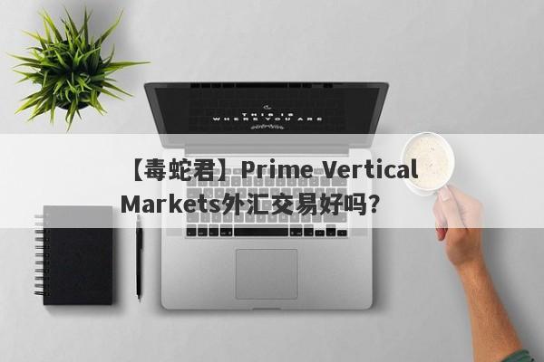 【毒蛇君】Prime Vertical Markets外汇交易好吗？
